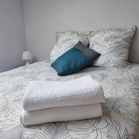 Maison Moderne Avec Piscine 别墅