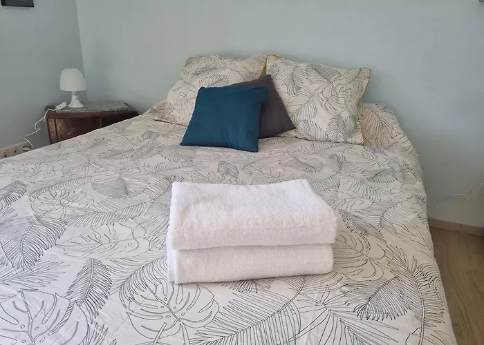 Maison Moderne Avec Piscine * 皮里亚克叙尔梅尔