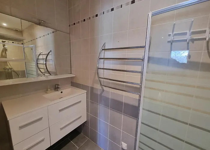 Maison Moderne Avec Piscine 皮里亚克叙尔梅尔