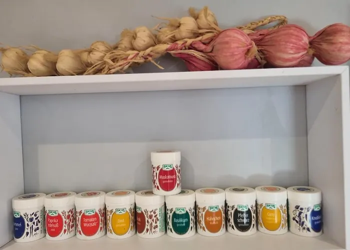 Maison Moderne Avec Piscine 皮里亚克叙尔梅尔