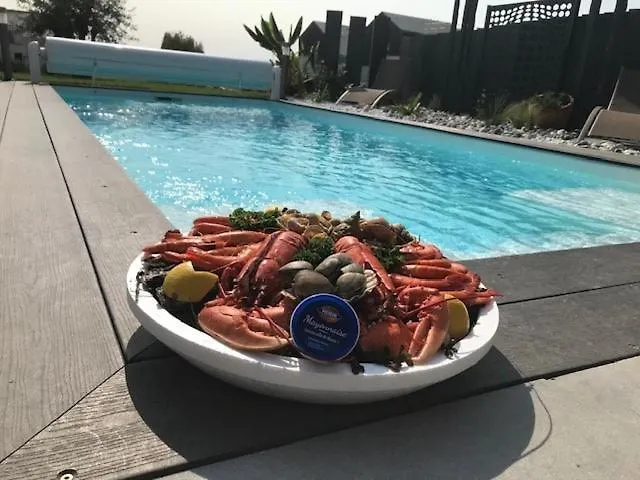 Maison Moderne Avec Piscine 别墅