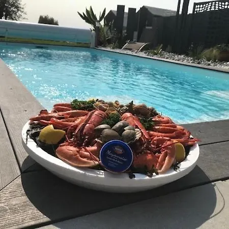 Maison Moderne Avec Piscine 别墅
